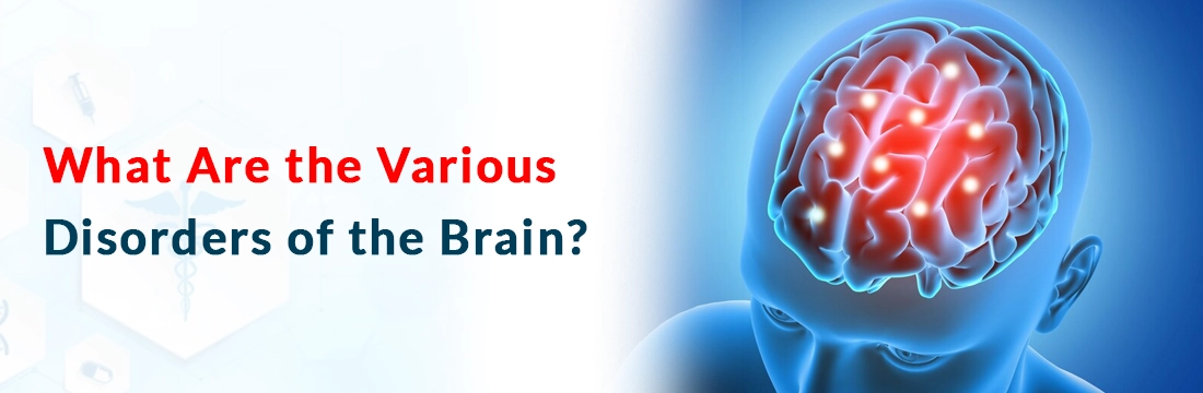  What Are the Various Disorders of the Brain?